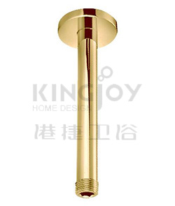 (KJ8077603B) Ceiling shower arm