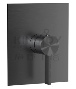 (KJ869Y010 枪灰拉丝) Single lever concealed shower mixer without diverter
