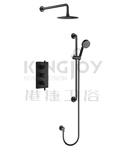 (KJ8268420(1)) Thermostatic concealed shower mixer