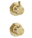 (KJ8074151) Thermostatic concealed mixer with diverter